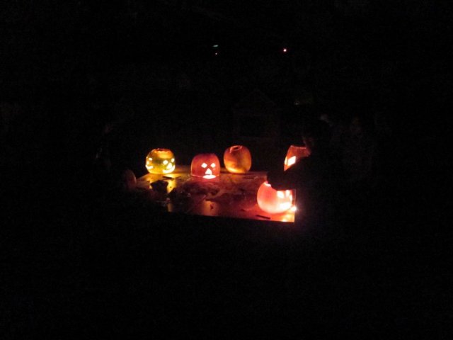 Verzameling 2011