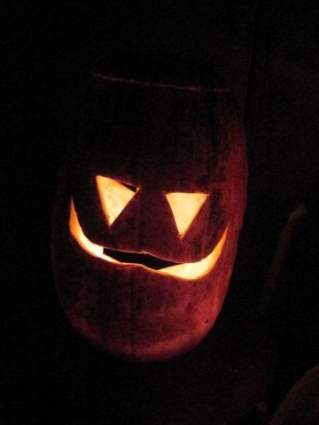 Verzameling 2011