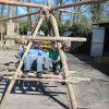 Verzameling 2011