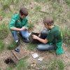 Verzameling 2011