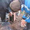Verzameling 2011
