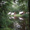 Zomerkamp 2012