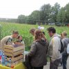 Walk & bingo 2012