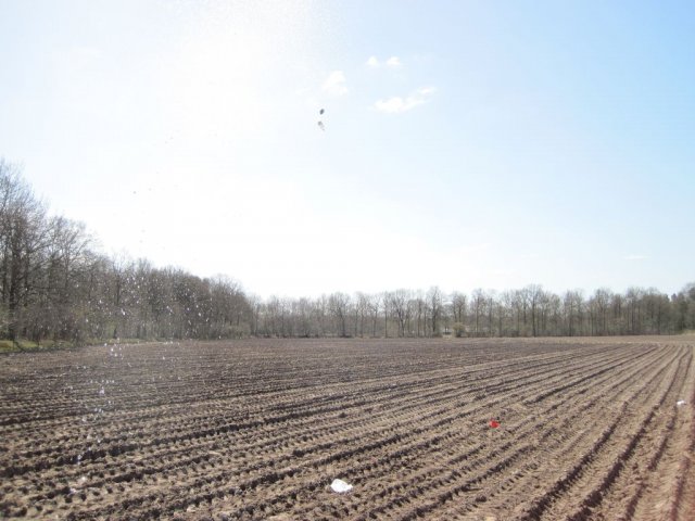 Petflesschieten luchtverkenners 2013
