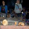 Zomerkamp 2013