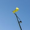 Welpen-installatie 2013