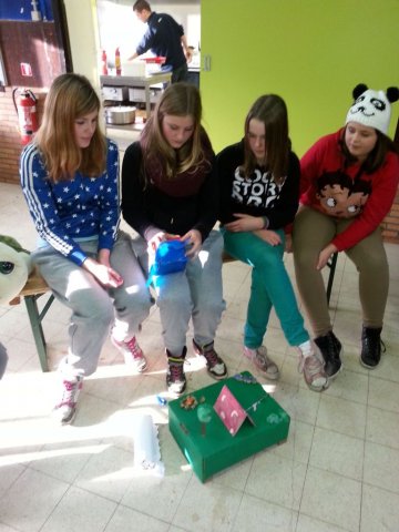 Sintermikmak scouts 2013