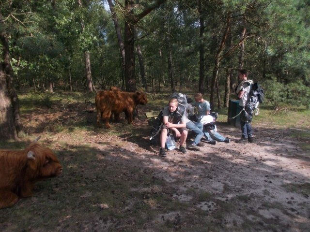Zomerkamp 2014