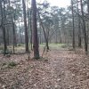 Ouder gidsenweekend 2015