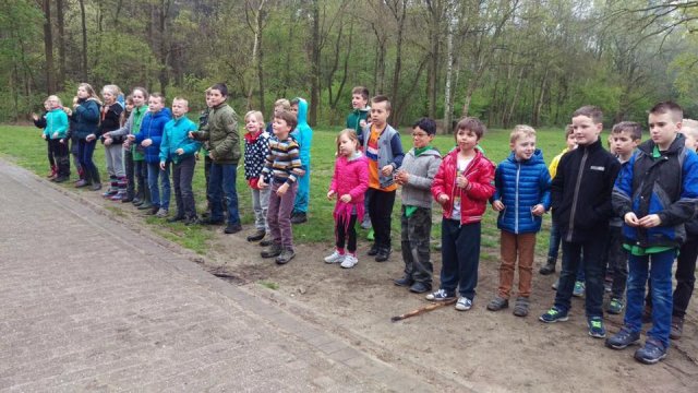 Voorjaar 2017