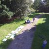 Zomer 2017