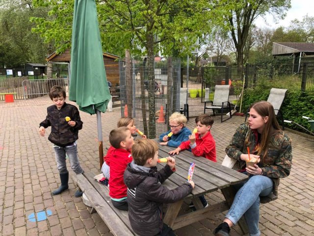 Zomer 2018
