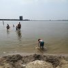 Zomer 2018