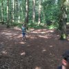 Zomer 2018