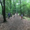 Zomer 2018