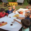 Zomer 2018