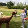 Zomerkamp 2018