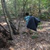 Herfst 2018