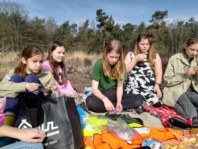 Voorjaar 2019