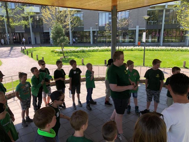 Voorjaar 2019
