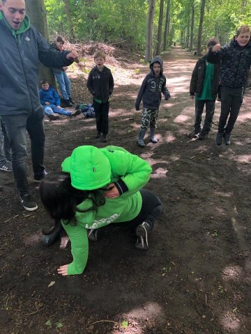 Voorjaar 2019