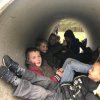 Voorjaar 2019