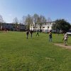 Voorjaar 2019