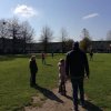 Voorjaar 2019