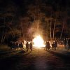 Voorjaar 2019