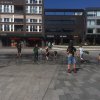 Voorjaar 2019
