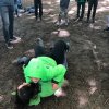 Voorjaar 2019