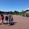 Zomerkamp 2019