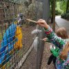 Zomerkamp 2019