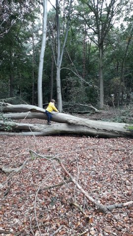 Herfst 2019