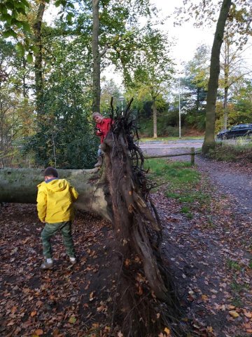 Herfst 2019