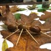 Herfst 2019